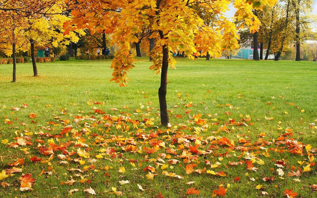 Your ‘To-Do’ List: Schedule a Fall Financial Review