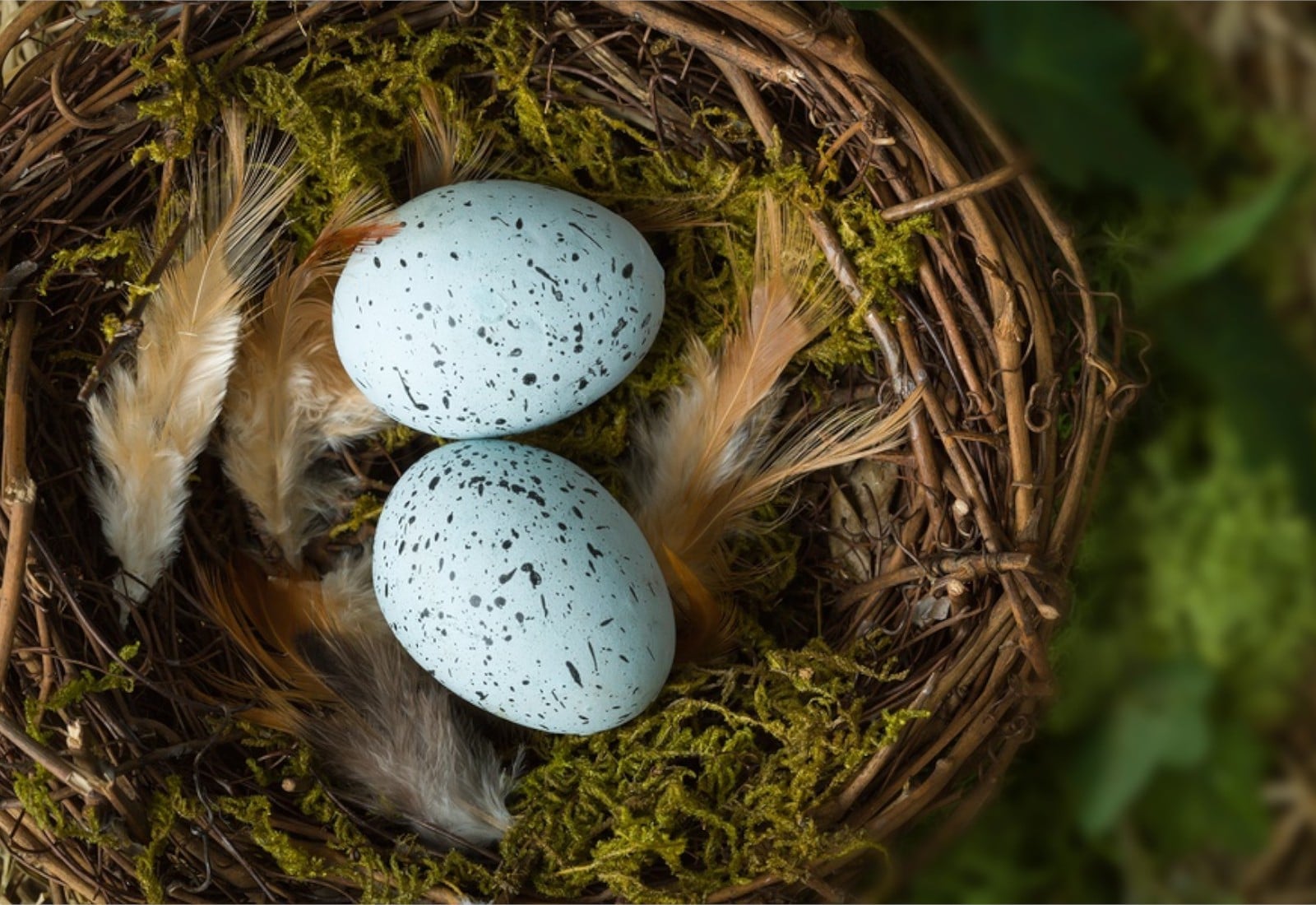 Your Retirement Nest Egg - Link Financial Advisory