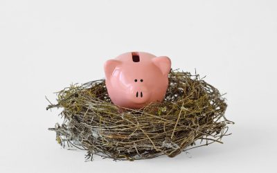 Portfolio Cash: Not Just for Investing